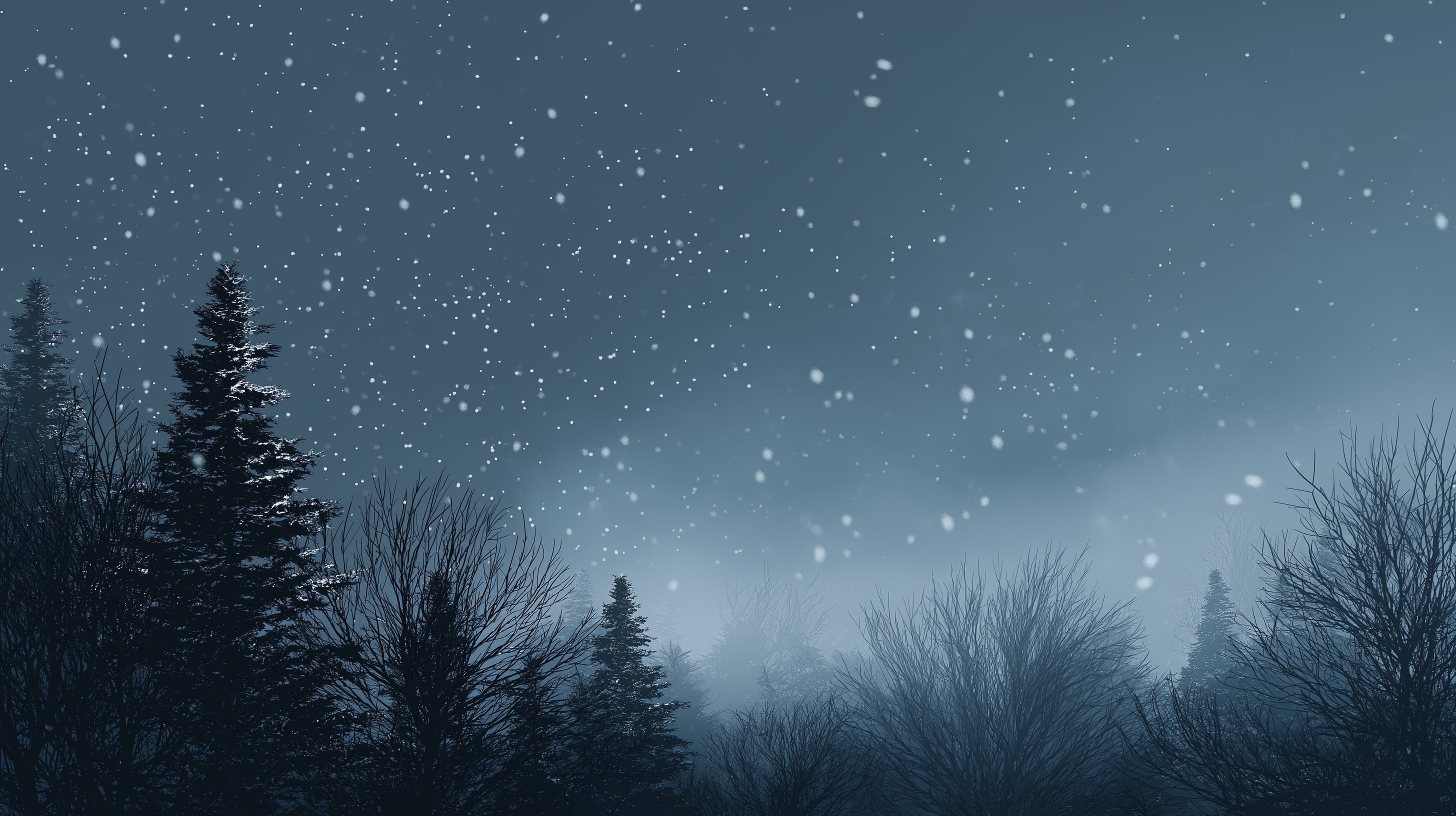 Snowy night in the forest